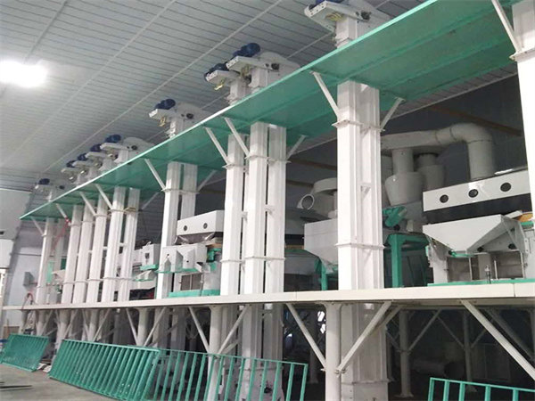 Экспорт в США - линия очистки семян Win Tone 5T / H