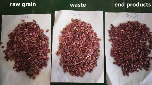 Уганда Установка установки для очистки зернобобовых культур 5TPH