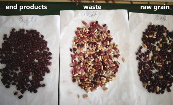 Уганда Установка установки для очистки зернобобовых культур 5TPH