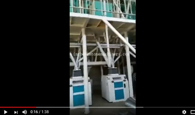 Установка технологической линии по производству кукурузной муки в Бурунди 40 тонн в день