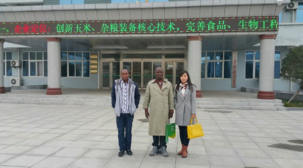 Установка технологической линии по производству кукурузной муки в Бурунди 40 тонн в день