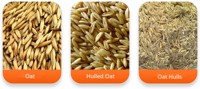 Машина для шелушения овса TMTK-56 ГОТОВАЯ ПРОДУКЦИЯ