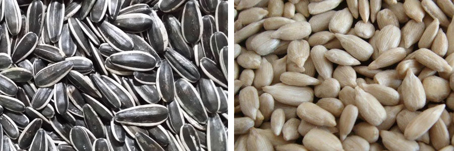 Машина для шелушения семян подсолнечника ГОТОВАЯ ПРОДУКЦИЯ