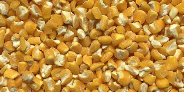 Машина для шелушения кукурузы MTPS-R ГОТОВАЯ ПРОДУКЦИЯ