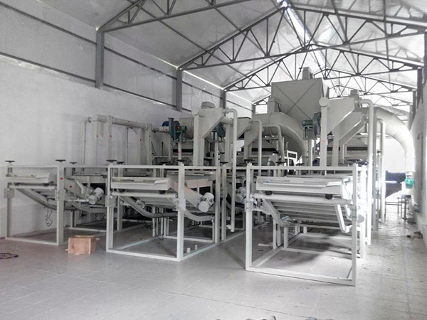 Bean Cleaning Plant Pumpkin seeds shelling Machine