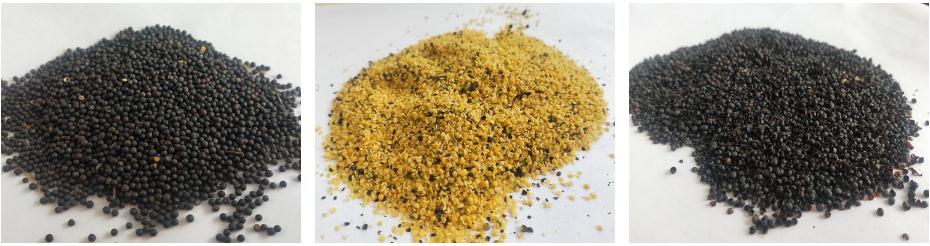 Машина для шелушения семян рапса ГОТОВАЯ ПРОДУКЦИЯ