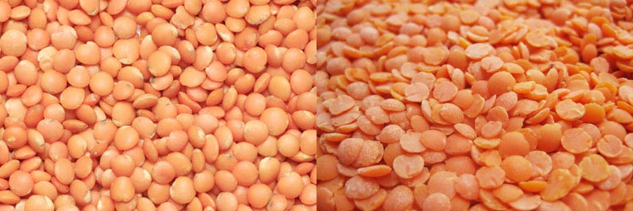 Машина для шелушения чечевицы MTPS ГОТОВАЯ ПРОДУКЦИЯ