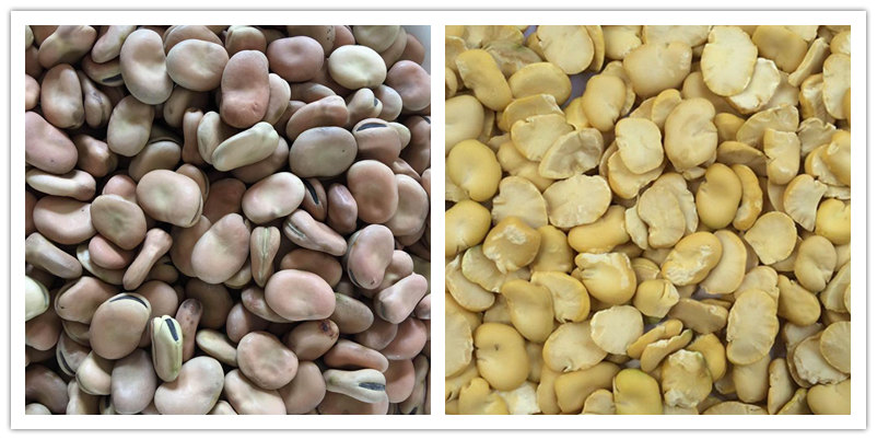 Машина для шелушения Боба садового ГОТОВАЯ ПРОДУКЦИЯ