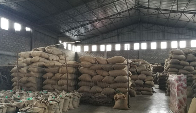 Установка линии очистки кофейных зерен Эфиопия