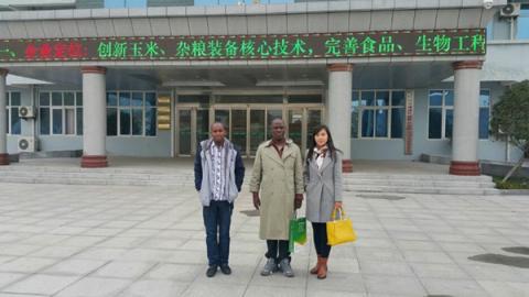 Установка линии фрезерования кукурузы в Бурунди 40 т / день