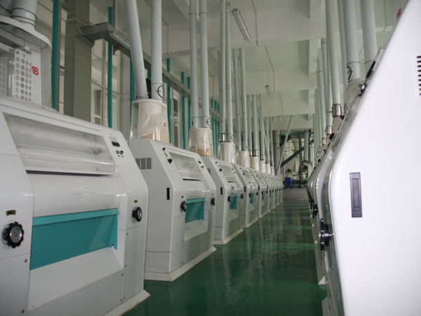 Купить линию по производству кукурузной муки