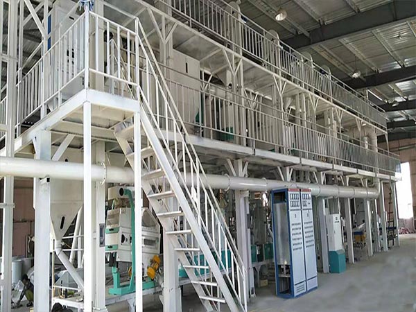 Линия по производству семян