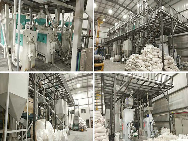 Технологическая линия по переработке и очистке бобовых