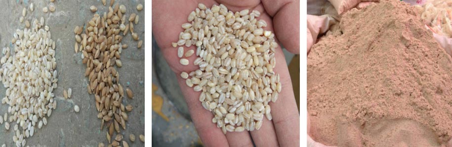 центробежной шелушительной машины