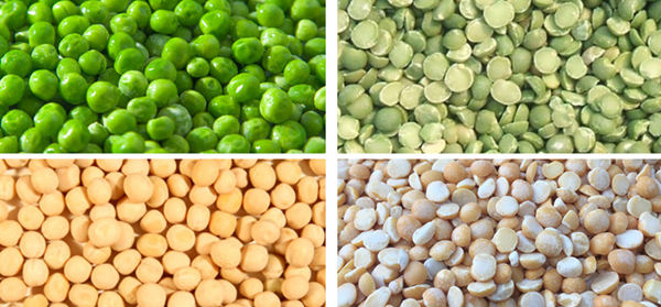 Цена оборудования для переработки гороха