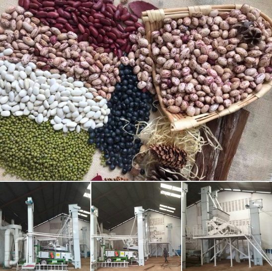 машин для очистки бобовых