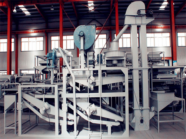 Небольшая линия по производству семян