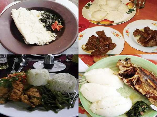 Мелкомасштабный завод по переработке кукурузы (10-20 тонн в сутки) ГОТОВАЯ ПРОДУКЦИЯ