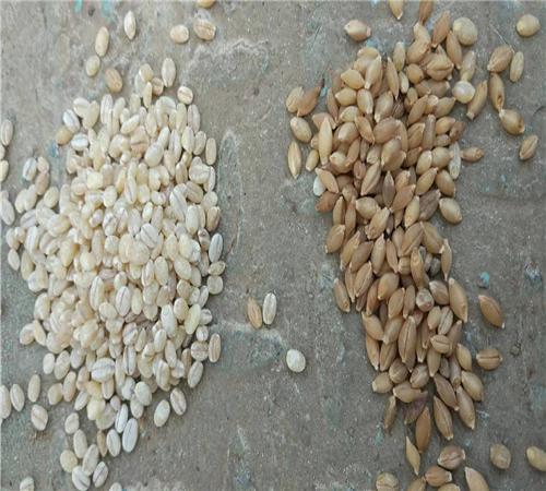 Завод по переработке ячменя ГОТОВАЯ ПРОДУКЦИЯ