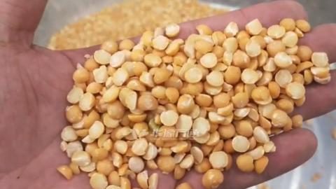 Машина для очистки кожуры от желтого горошка