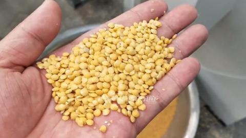 Машина для очистки чечевицы