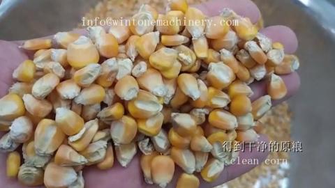 Интегрированная машина для очистки зерна Destoner