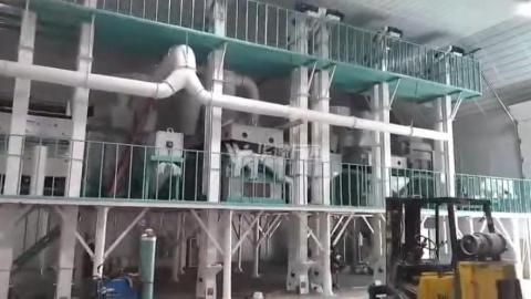 Линия очистки семян 5T / H, установленная в США для переработки пшеницы, ячменя, фасоли, гречихи