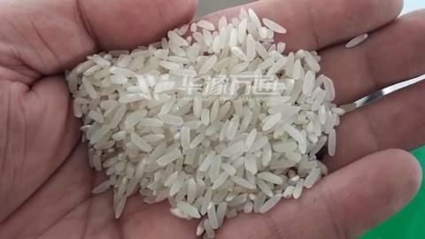 Линия для измельчения риса 200 т (очистка рисовых полей, шелушение, измельчение риса, сортировка по