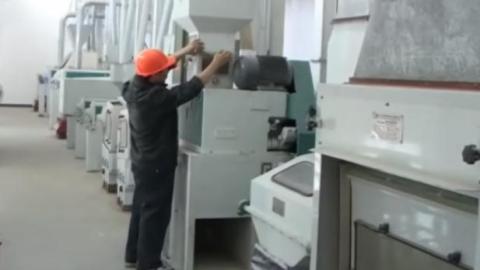 Фрезерный завод 60 т / сут, линия по производству риса, крупный проект по фрезерованию риса