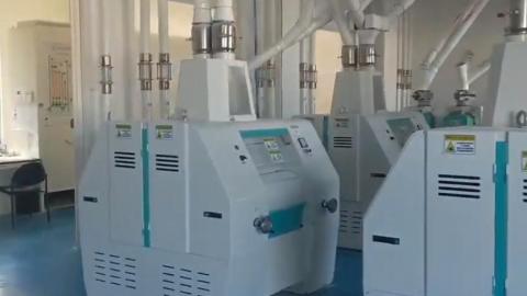 Проект по переработке 100 тонн пшеничной муки в Эквадоре