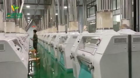 Завод по переработке пшеницы 5000 т